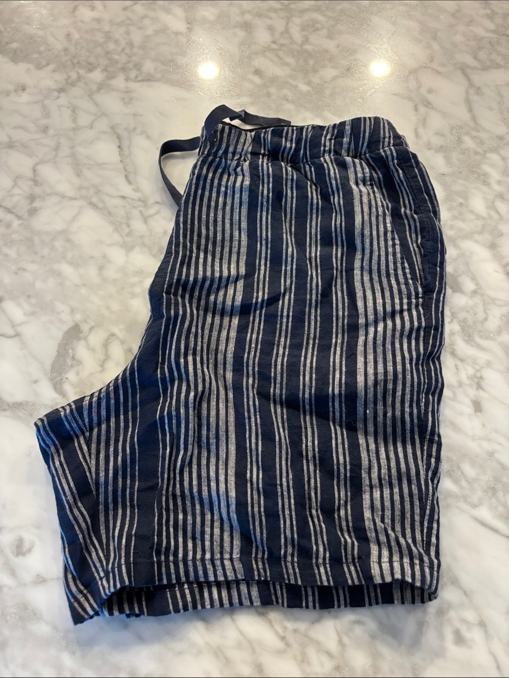 Everlane Navy and White Striped Shorts